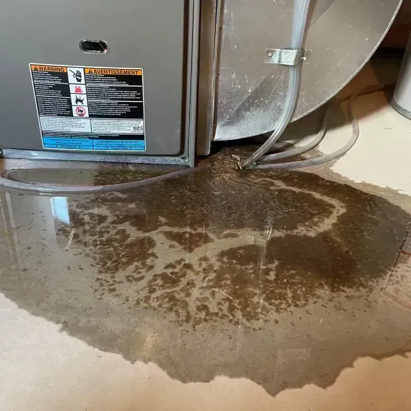 Appliance Leak Cleanup in South Dos Palos, CA